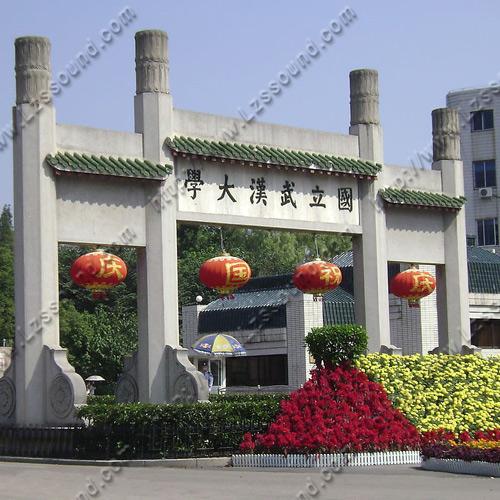 國立武漢大學( 視頻會議系統(tǒng))
